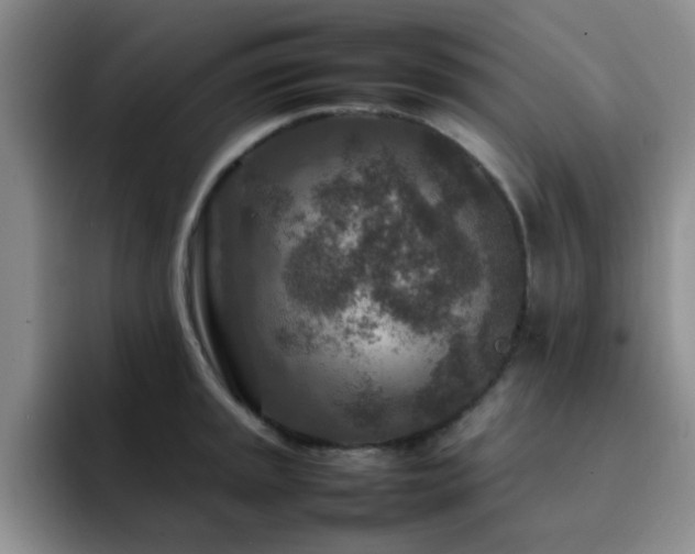 X0000092231045200709141102