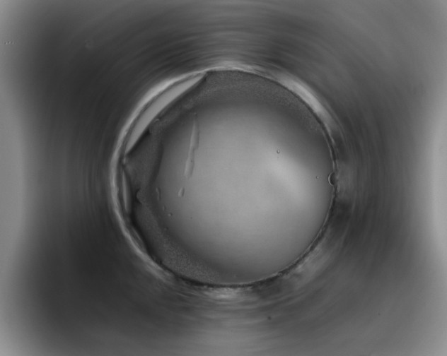 X0000092231048200709141102