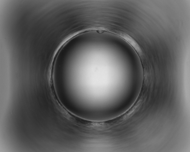 X0000092231052200709141102