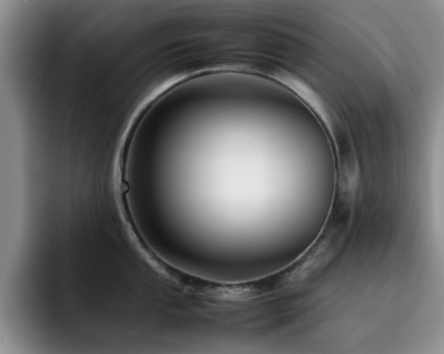 X0000092231053200709141102