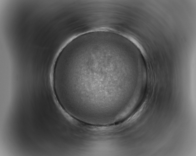 X0000092231054200709141102