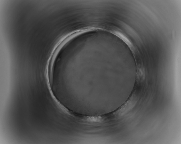 X0000092231055200709141102