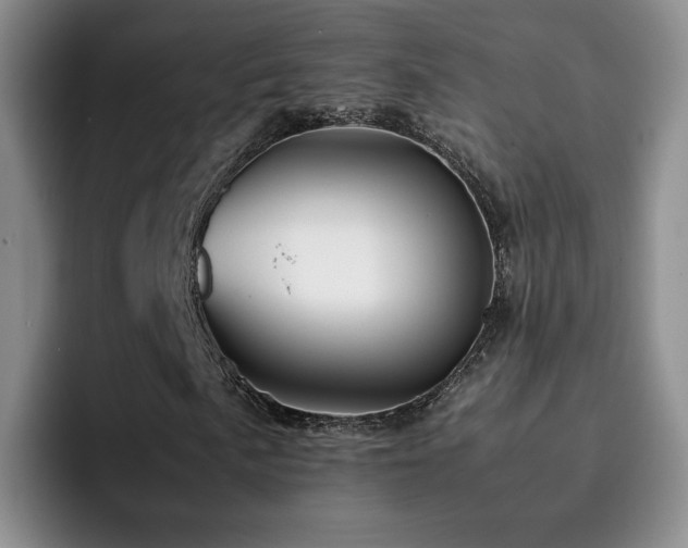 X0000092231057200709141101