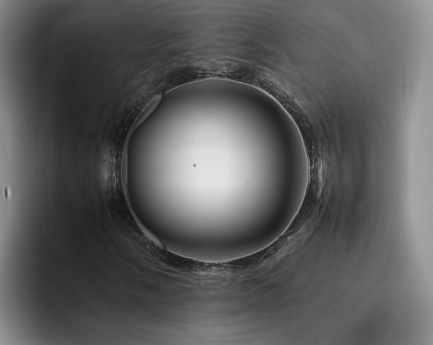 X0000092231058200709141101
