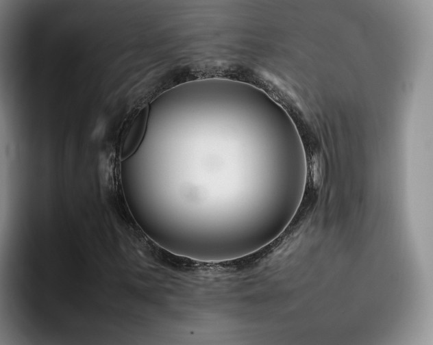 X0000092231059200709141101