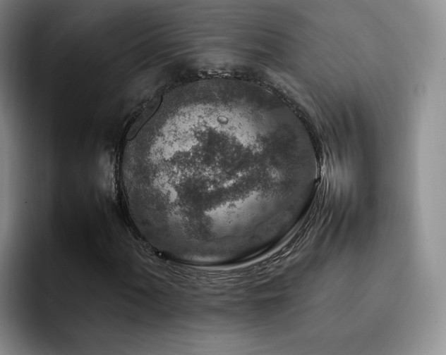 X0000092231060200709141101