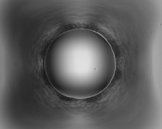 X0000092231061200709141101