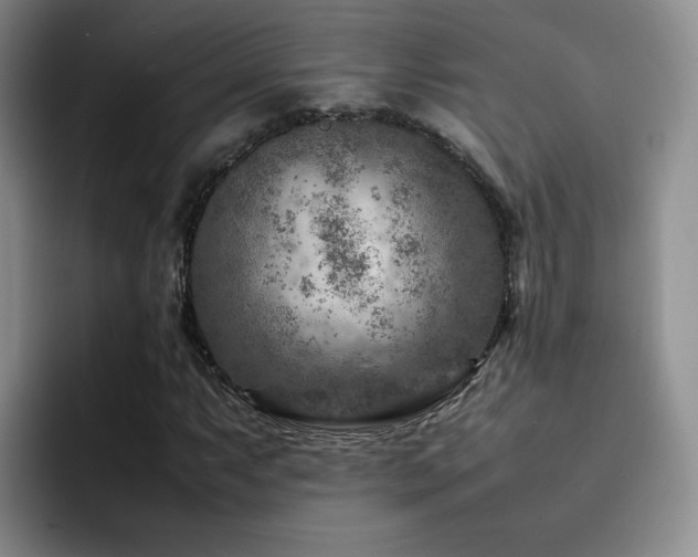 X0000092231063200709141101