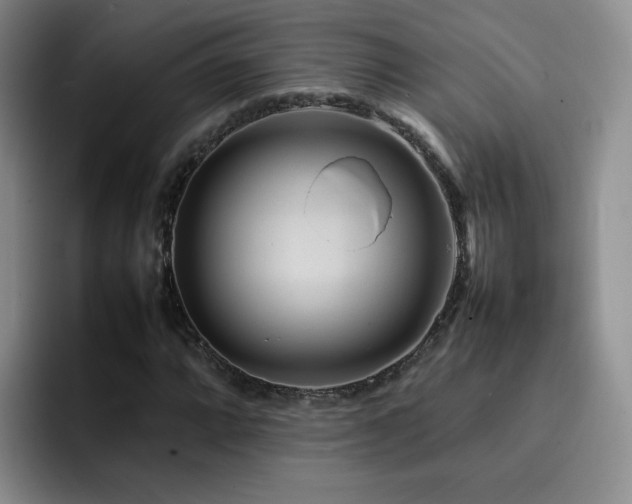 X0000092231064200709141101