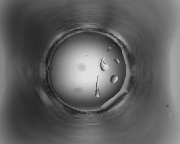 X0000092231067200709141101