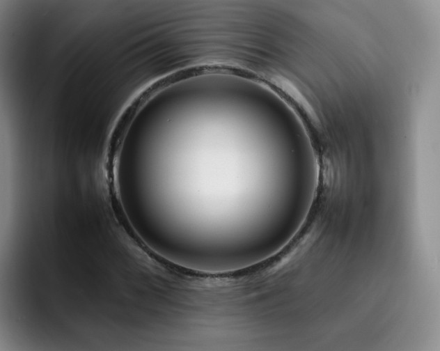 X0000092231068200709141101