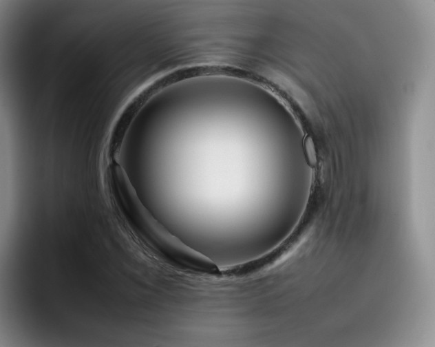 X0000092231069200709141101