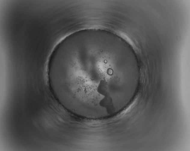 X0000092231071200709141101