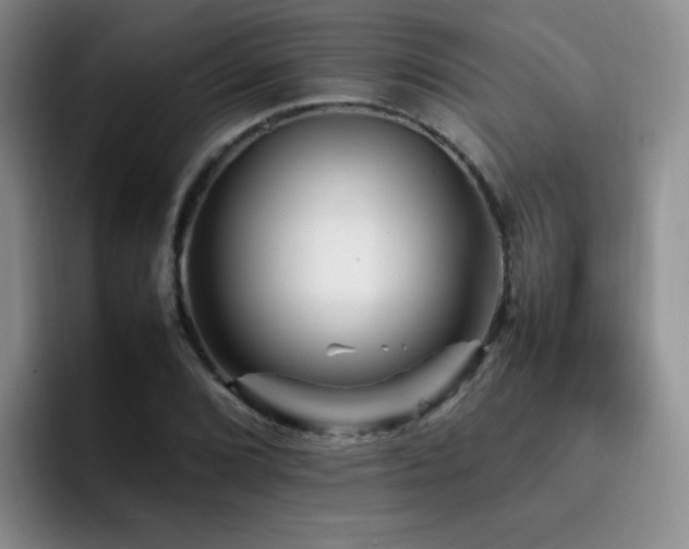X0000092231072200709141101