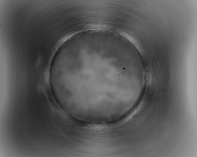 X0000092231074200709141101