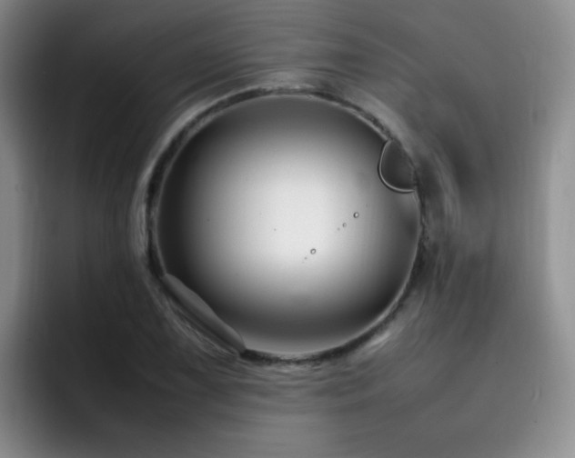 X0000092231075200709141101