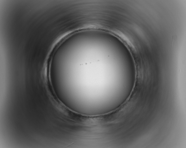 X0000092231078200709141101