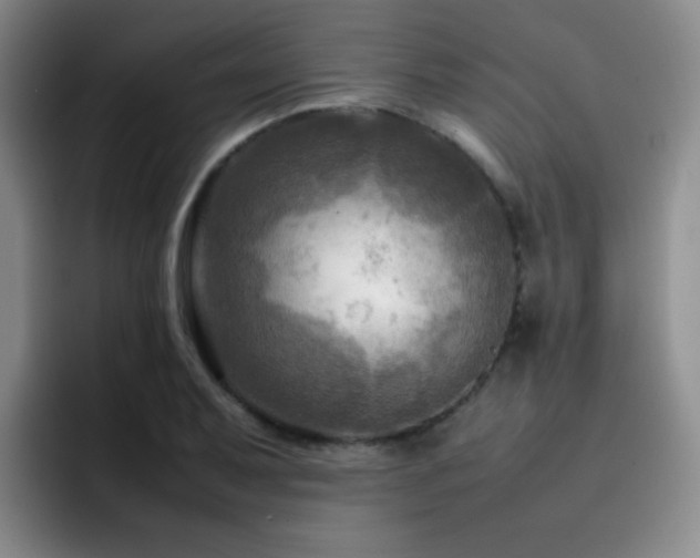 X0000092231079200709141101
