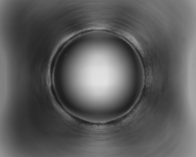 X0000092231080200709141101