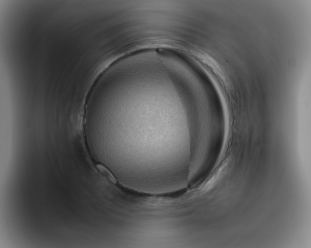 X0000092231081200709141101