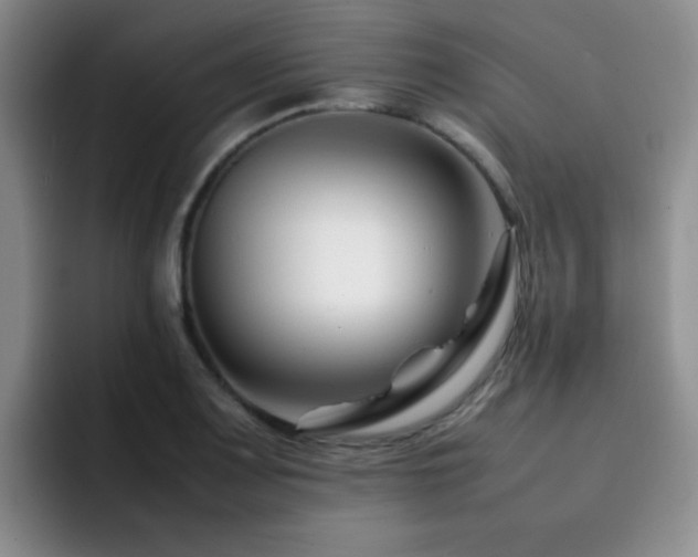 X0000092231083200709141101