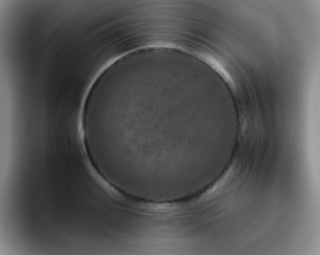 X0000092231084200709141101