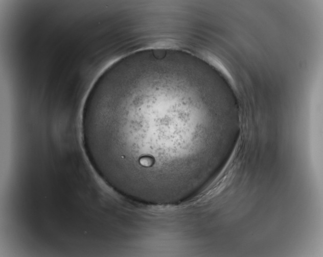 X0000092231087200709141101