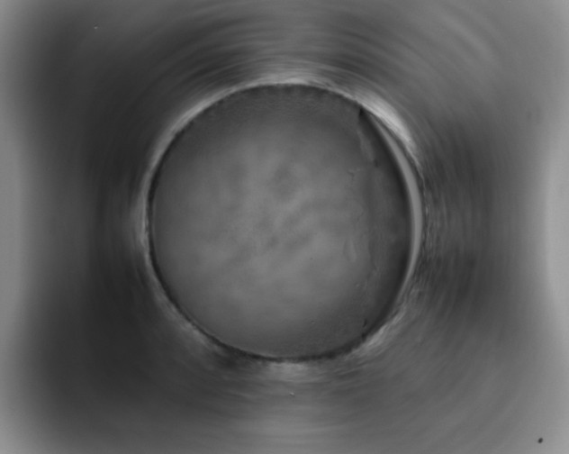 X0000092231088200709141101