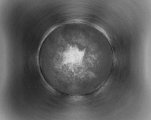 X0000092231090200709141101