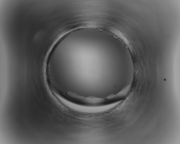 X0000092231091200709141101