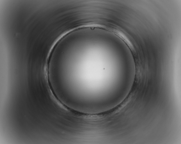 X0000092231092200709141101