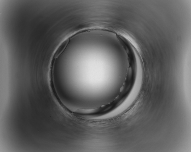 X0000092231093200709141101