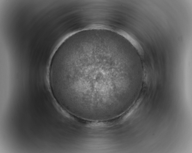 X0000092231094200709141101