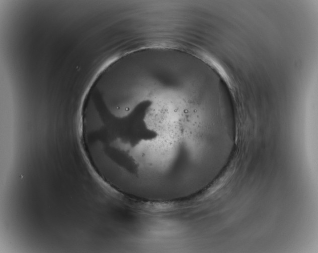 X0000092231095200709141101