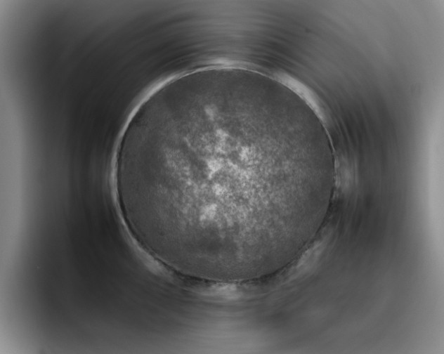 X0000092231098200709141101