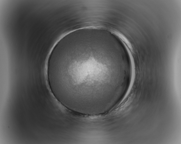 X0000092231099200709141101