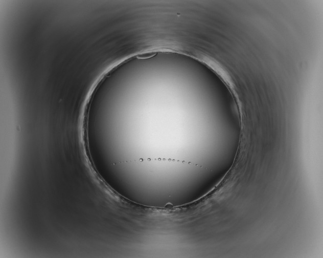 X0000092231104200709141101