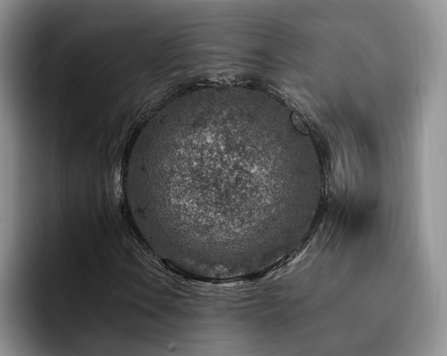 X0000092231106200709141100