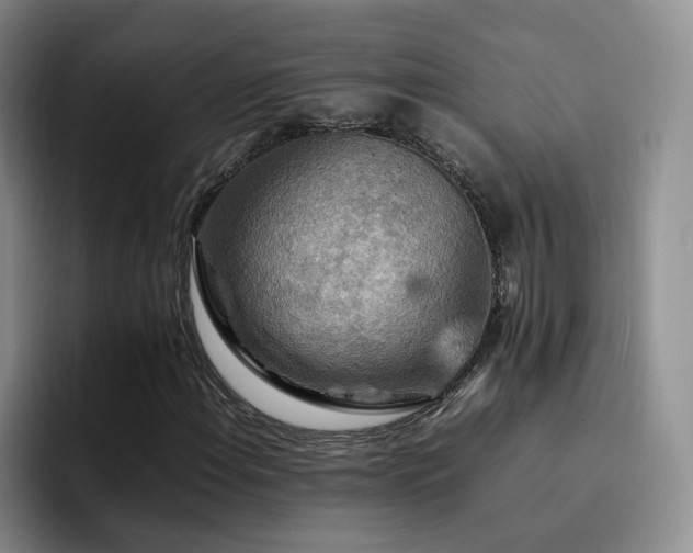 X0000092231108200709141100