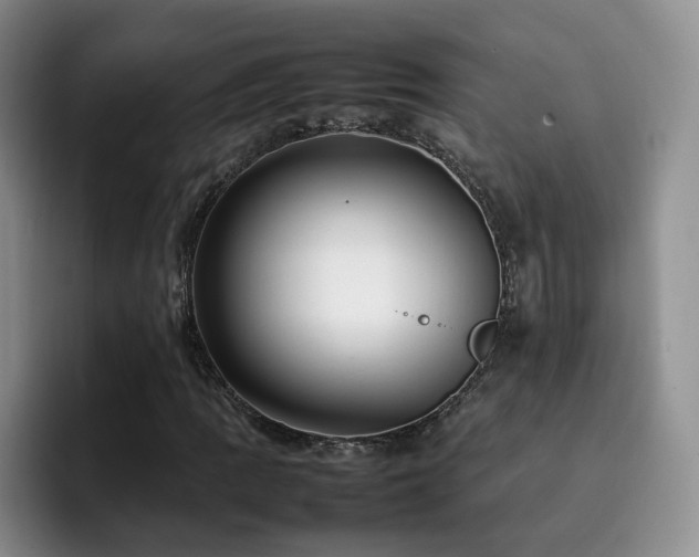 X0000092231109200709141100