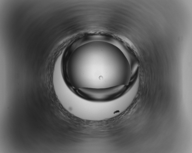 X0000092231112200709141100