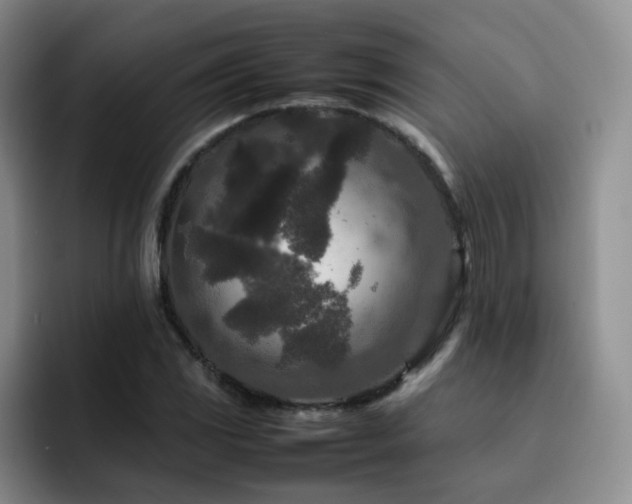 X0000092231117200709141100