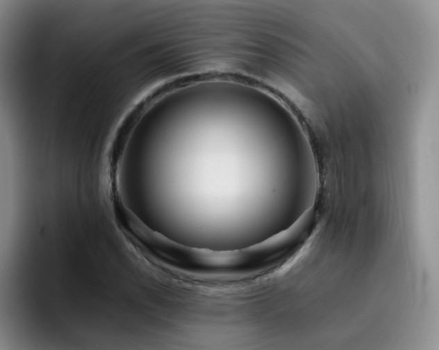 X0000092231118200709141100