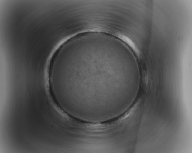 X0000092231120200709141100