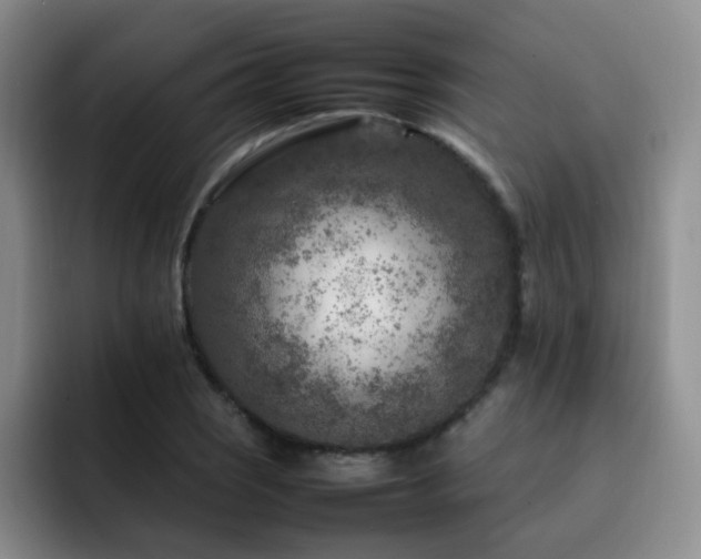 X0000092231121200709141100