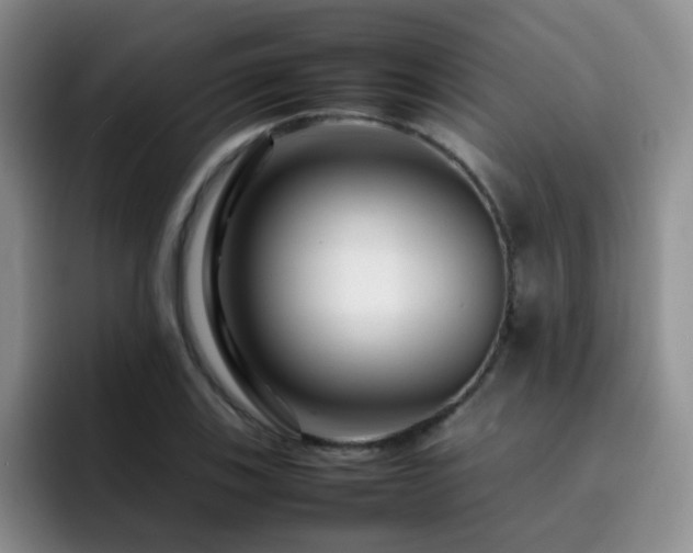 X0000092231123200709141101