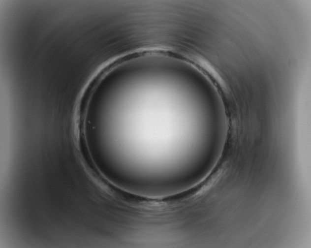 X0000092231124200709141101
