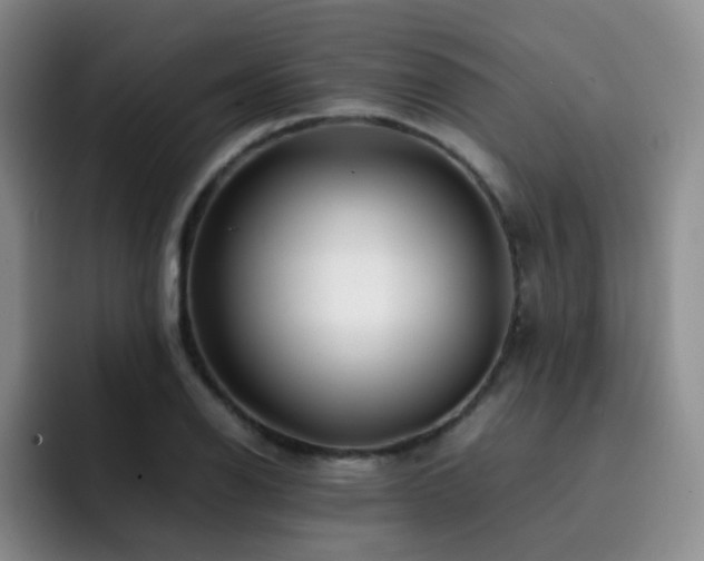 X0000092231126200709141101