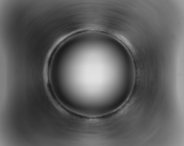 X0000092231128200709141101