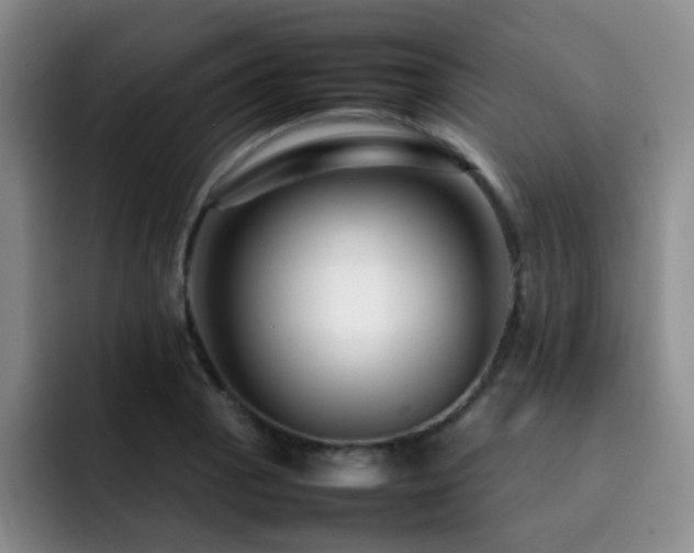 X0000092231129200709141101